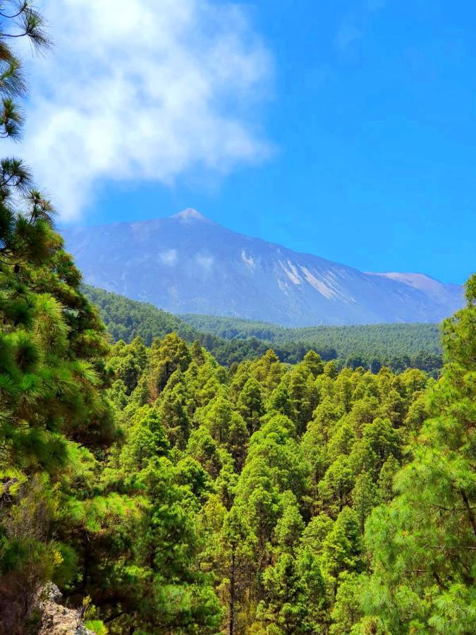 Monte Frio De Tenerife Ла-Гуанча Экстерьер фото
