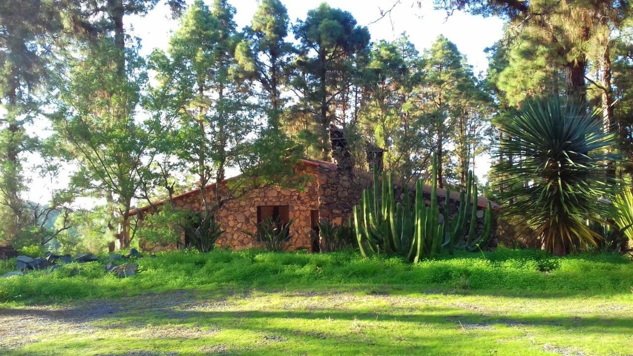Monte Frio De Tenerife Ла-Гуанча Экстерьер фото