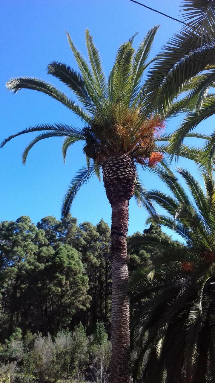 Monte Frio De Tenerife Ла-Гуанча Экстерьер фото